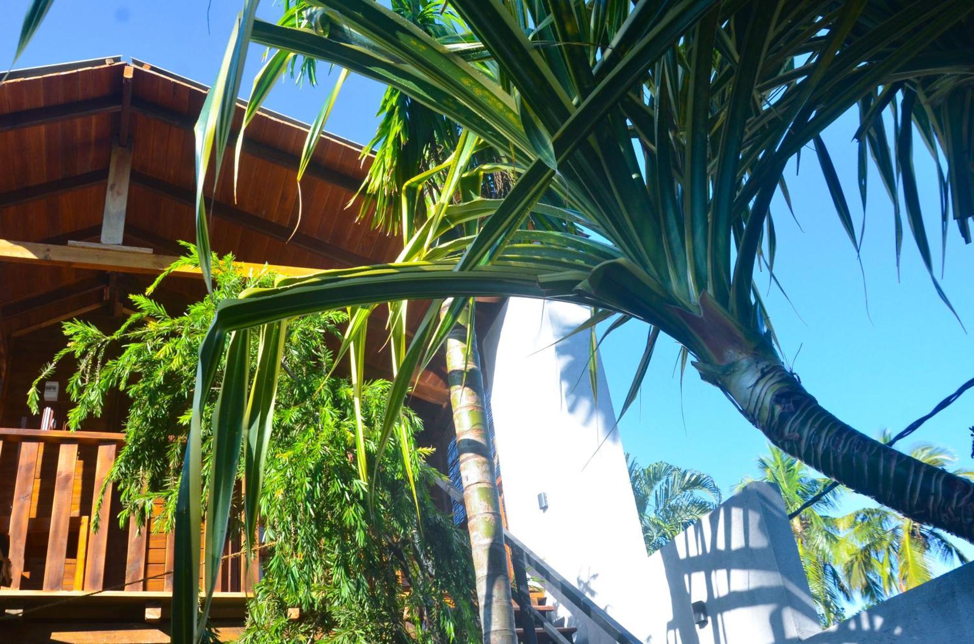 Triangle Home Stay Dambulla Exterior foto